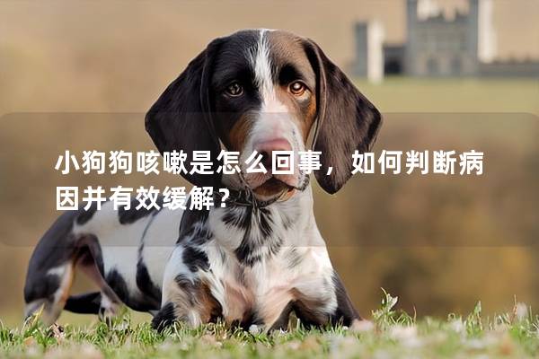 小狗狗咳嗽是怎么回事，如何判断病因并有效缓解？