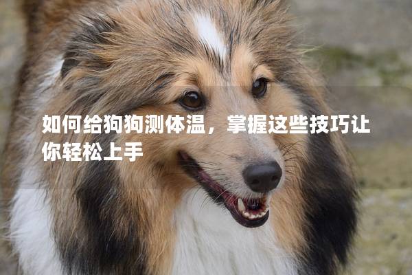 如何给狗狗测体温，掌握这些技巧让你轻松上手