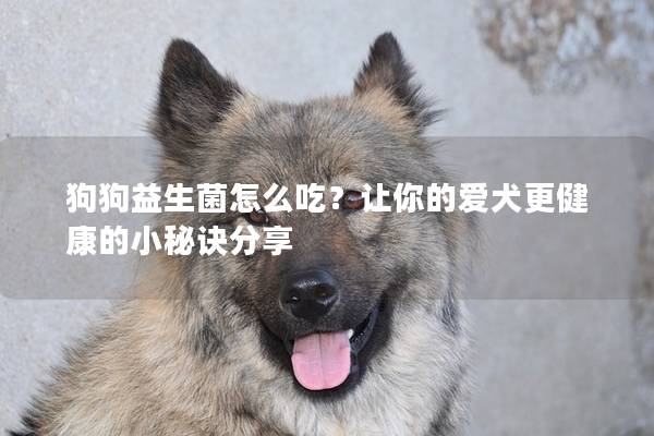 狗狗益生菌怎么吃？让你的爱犬更健康的小秘诀分享