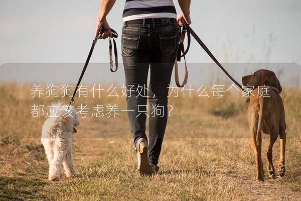 养狗狗有什么好处，为什么每个家庭都应该考虑养一只狗？