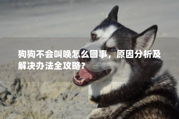 狗狗不会叫唤怎么回事，原因分析及解决办法全攻略？