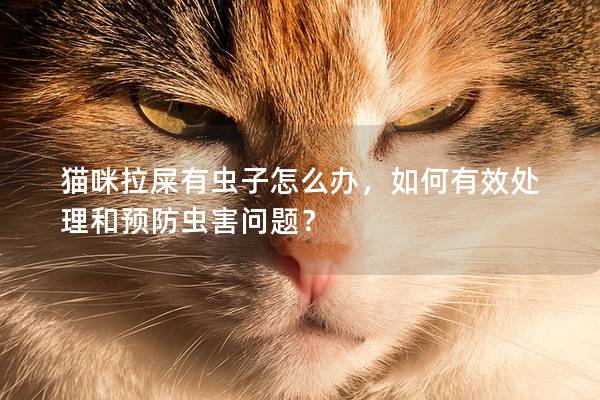 猫咪拉屎有虫子怎么办，如何有效处理和预防虫害问题？