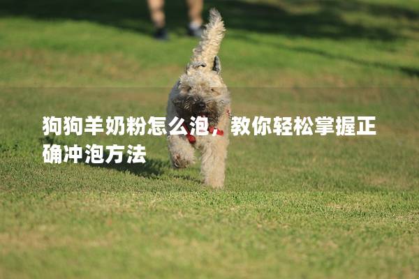狗狗羊奶粉怎么泡，教你轻松掌握正确冲泡方法