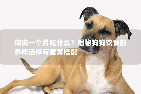 狗狗一个月吃什么？揭秘狗狗饮食的多样选择与营养搭配