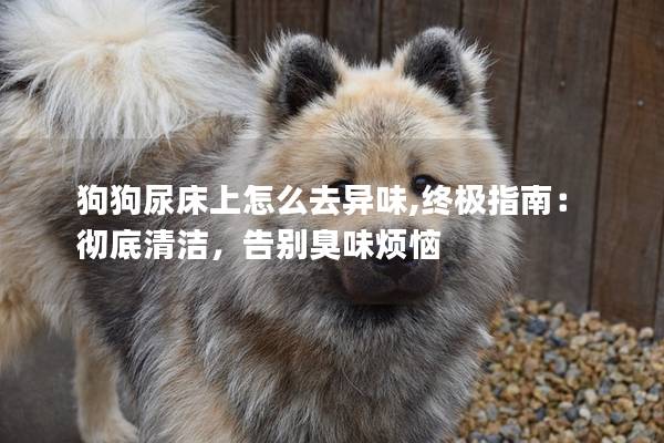狗狗尿床上怎么去异味,终极指南：彻底清洁，告别臭味烦恼