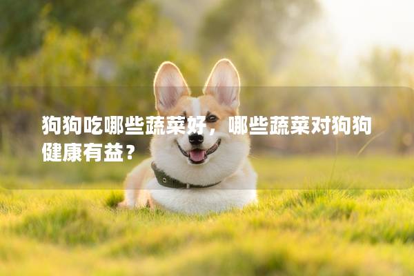 狗狗吃哪些蔬菜好，哪些蔬菜对狗狗健康有益？