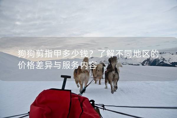 狗狗剪指甲多少钱？了解不同地区的价格差异与服务内容