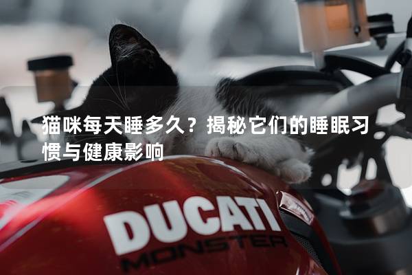 猫咪每天睡多久？揭秘它们的睡眠习惯与健康影响