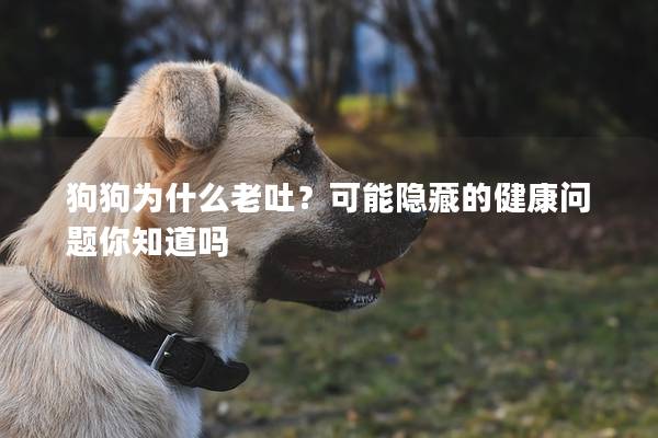 狗狗为什么老吐？可能隐藏的健康问题你知道吗