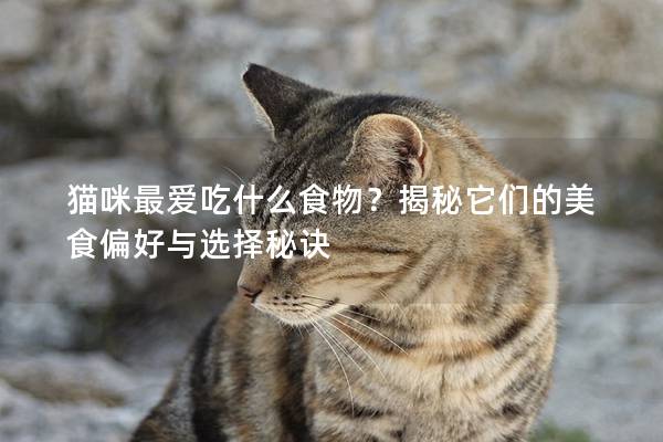 猫咪最爱吃什么食物？揭秘它们的美食偏好与选择秘诀
