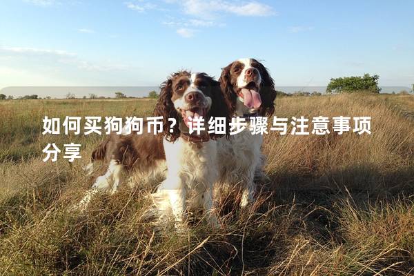 如何买狗狗币？详细步骤与注意事项分享
