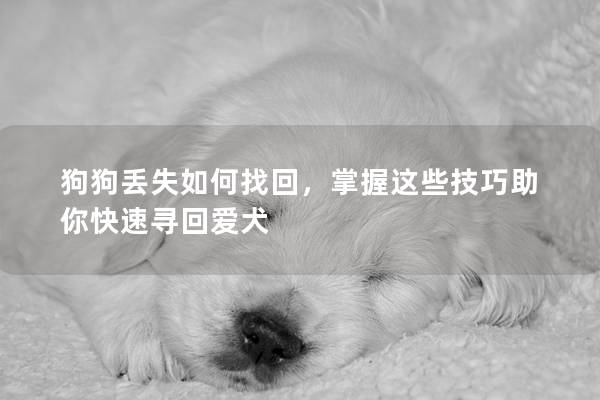 狗狗丢失如何找回，掌握这些技巧助你快速寻回爱犬