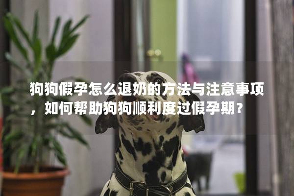 狗狗假孕怎么退奶的方法与注意事项，如何帮助狗狗顺利度过假孕期？