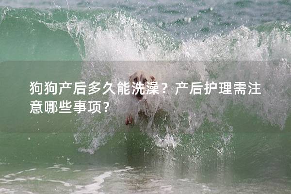 狗狗产后多久能洗澡？产后护理需注意哪些事项？