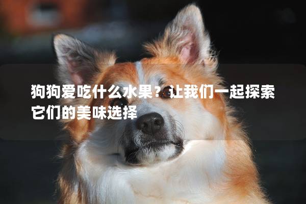 狗狗爱吃什么水果？让我们一起探索它们的美味选择