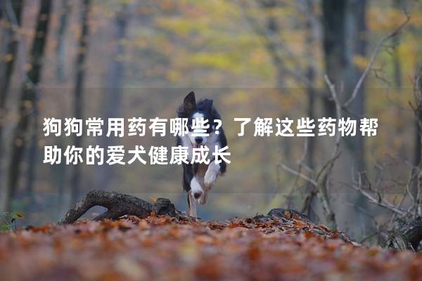 狗狗常用药有哪些？了解这些药物帮助你的爱犬健康成长