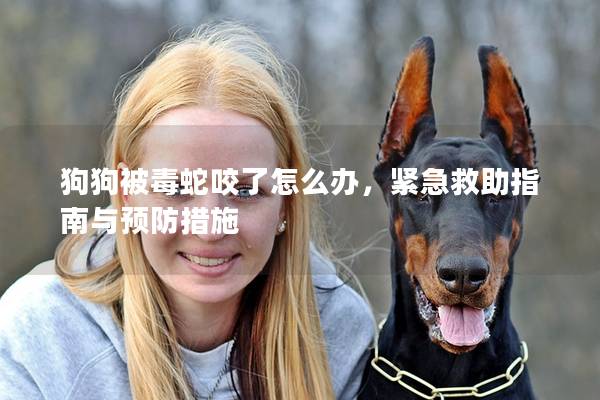 狗狗被毒蛇咬了怎么办，紧急救助指南与预防措施
