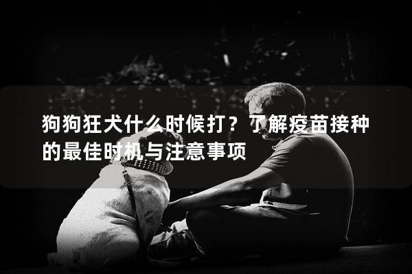 狗狗狂犬什么时候打？了解疫苗接种的最佳时机与注意事项