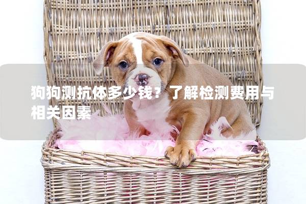 狗狗测抗体多少钱？了解检测费用与相关因素
