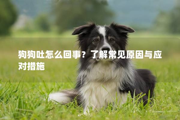 狗狗吐怎么回事？了解常见原因与应对措施