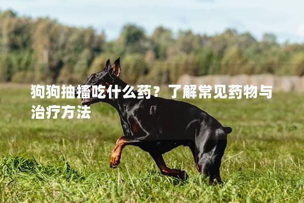 狗狗抽搐吃什么药？了解常见药物与治疗方法