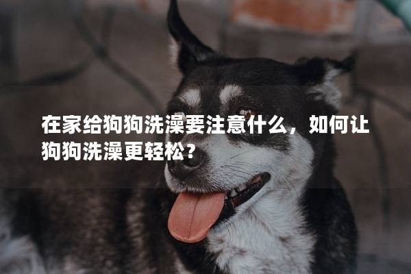 在家给狗狗洗澡要注意什么，如何让狗狗洗澡更轻松？
