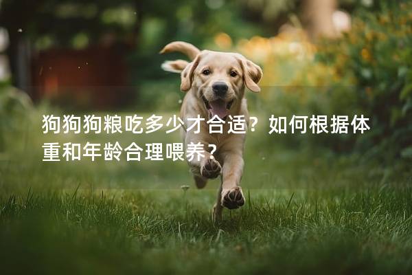 狗狗狗粮吃多少才合适？如何根据体重和年龄合理喂养？