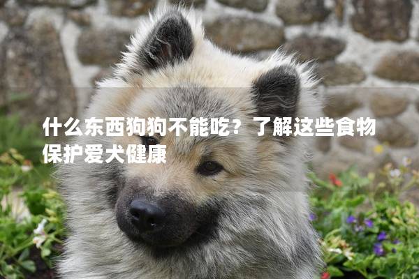 什么东西狗狗不能吃？了解这些食物保护爱犬健康