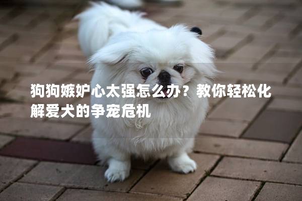 狗狗嫉妒心太强怎么办？教你轻松化解爱犬的争宠危机