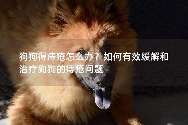 狗狗得痔疮怎么办？如何有效缓解和治疗狗狗的痔疮问题