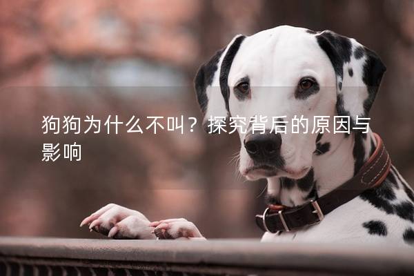 狗狗为什么不叫？探究背后的原因与影响