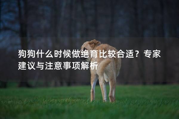 狗狗什么时候做绝育比较合适？专家建议与注意事项解析