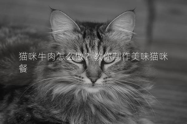 猫咪牛肉怎么做？教你制作美味猫咪餐