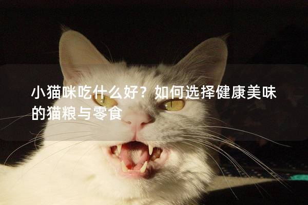 小猫咪吃什么好？如何选择健康美味的猫粮与零食