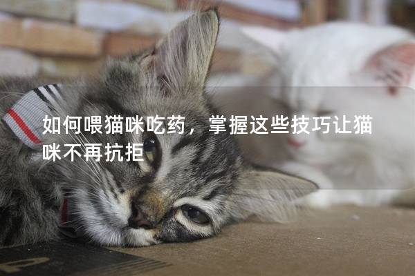 如何喂猫咪吃药，掌握这些技巧让猫咪不再抗拒