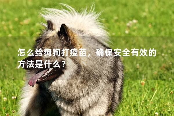 怎么给狗狗打疫苗，确保安全有效的方法是什么？