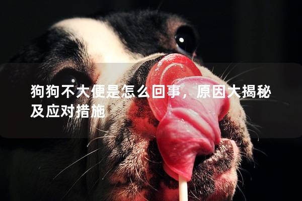 狗狗不大便是怎么回事，原因大揭秘及应对措施