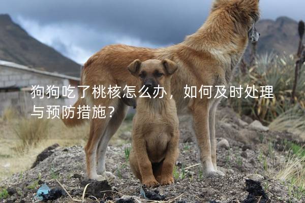 狗狗吃了桃核怎么办，如何及时处理与预防措施？