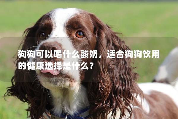 狗狗可以喝什么酸奶，适合狗狗饮用的健康选择是什么？