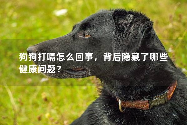 狗狗打嗝怎么回事，背后隐藏了哪些健康问题？