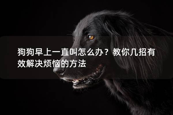 狗狗早上一直叫怎么办？教你几招有效解决烦恼的方法
