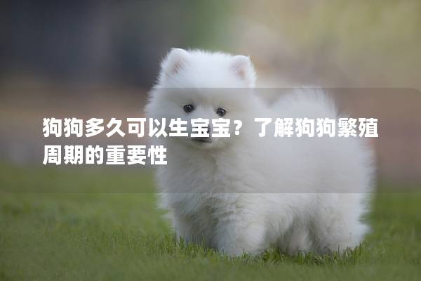 狗狗多久可以生宝宝？了解狗狗繁殖周期的重要性