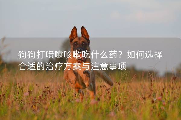 狗狗打喷嚏咳嗽吃什么药？如何选择合适的治疗方案与注意事项