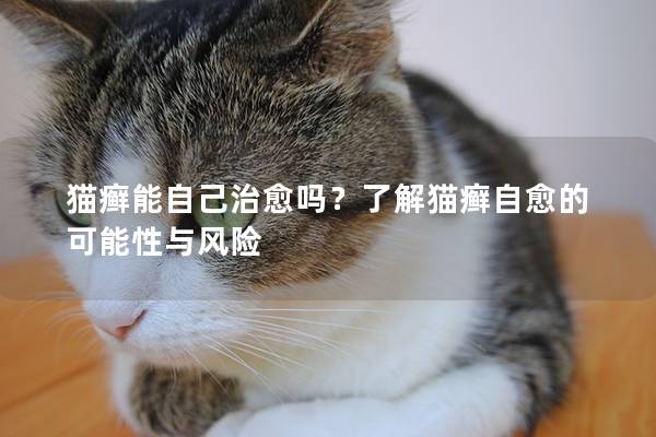 猫癣能自己治愈吗？了解猫癣自愈的可能性与风险