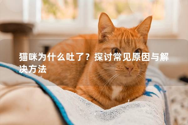 猫咪为什么吐了？探讨常见原因与解决方法