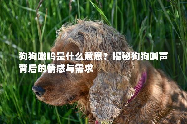 狗狗嗷呜是什么意思？揭秘狗狗叫声背后的情感与需求