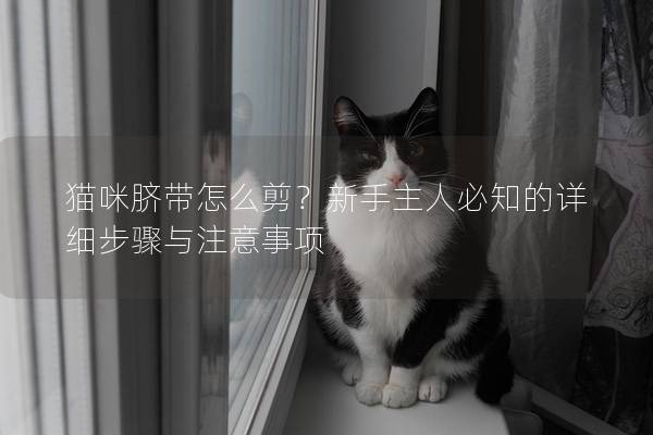猫咪脐带怎么剪？新手主人必知的详细步骤与注意事项