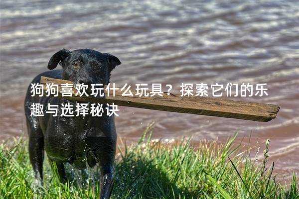 狗狗喜欢玩什么玩具？探索它们的乐趣与选择秘诀