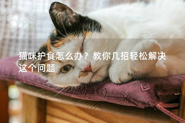 猫咪护食怎么办？教你几招轻松解决这个问题