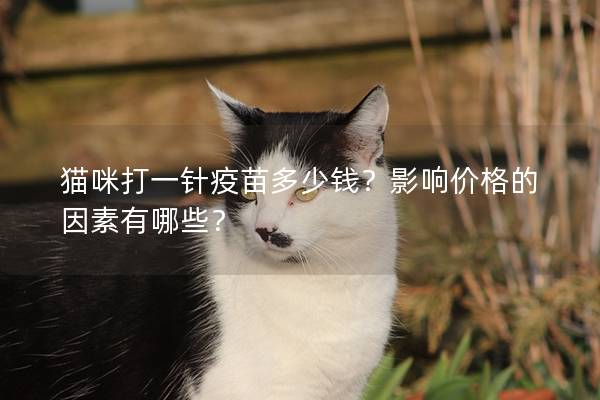 猫咪打一针疫苗多少钱？影响价格的因素有哪些？